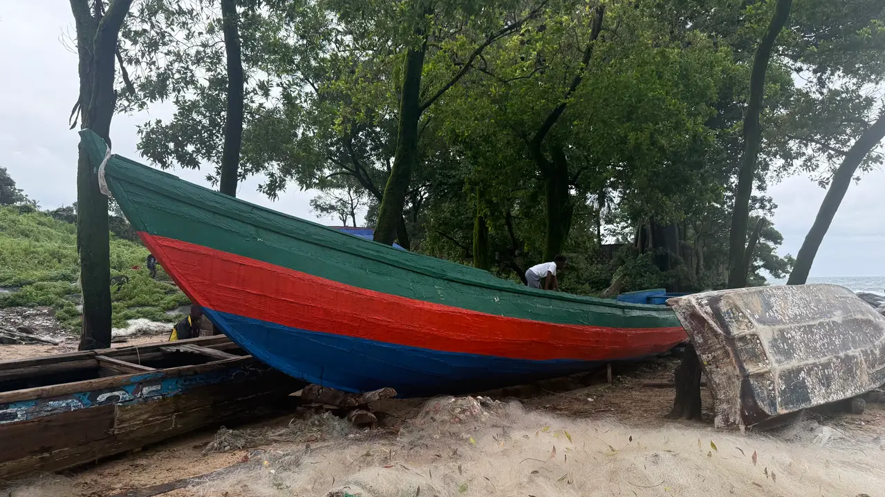 A painted wooden boat pulled up on the shore beneath trees