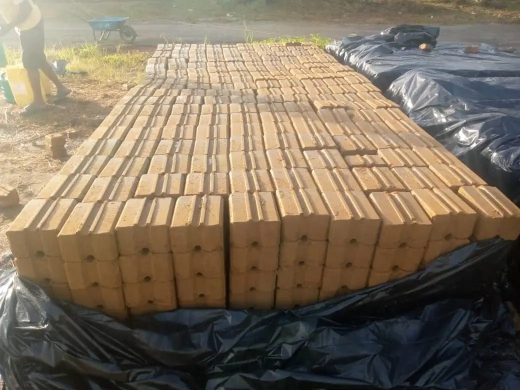 Freshly made soil blocks laid out in rows